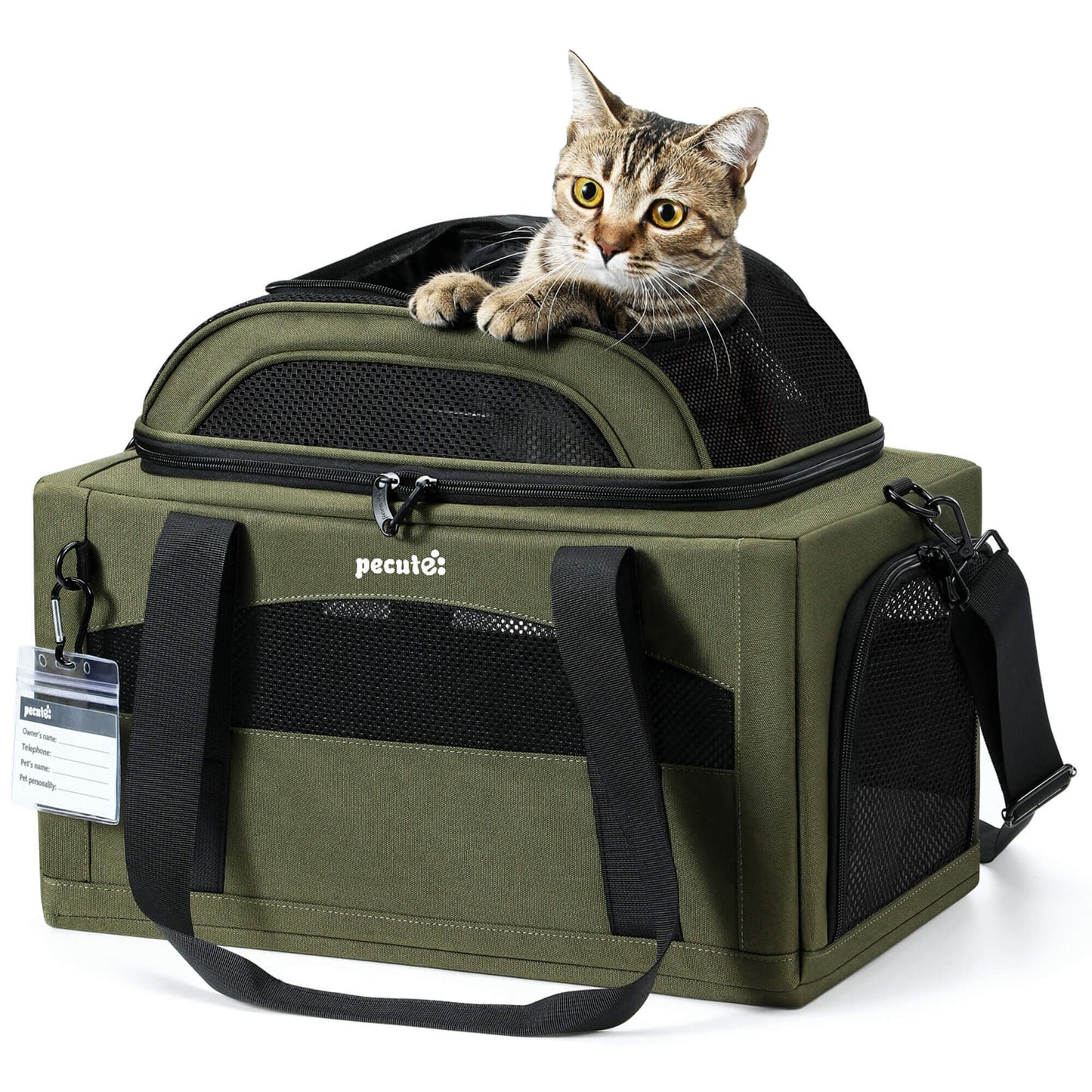 Airline Approved Expandable Pet Carrier Dog Cat Carrier with Leakproof Pee Pad