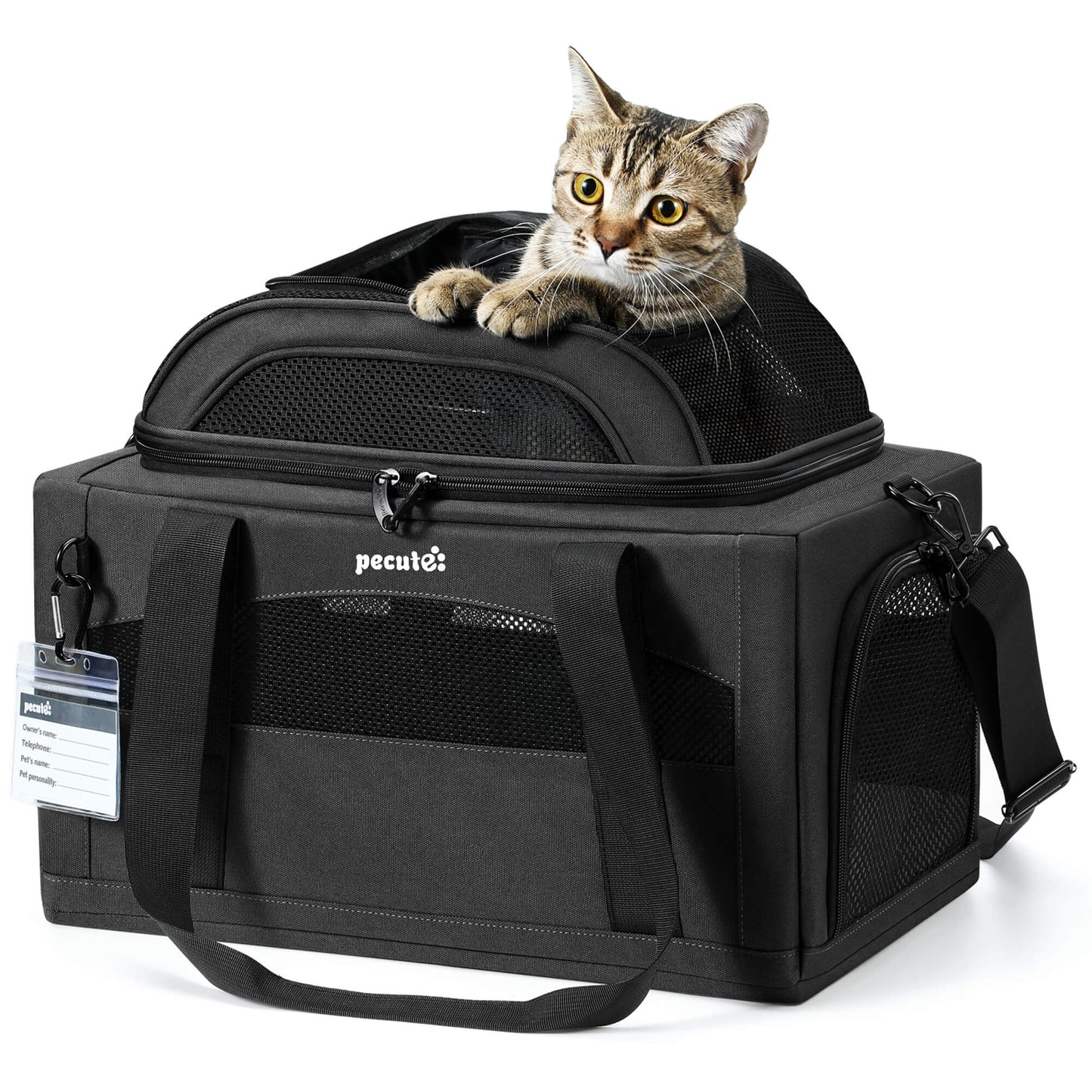 Airline Approved Expandable Pet Carrier Dog Cat Carrier with Leakproof Pee Pad