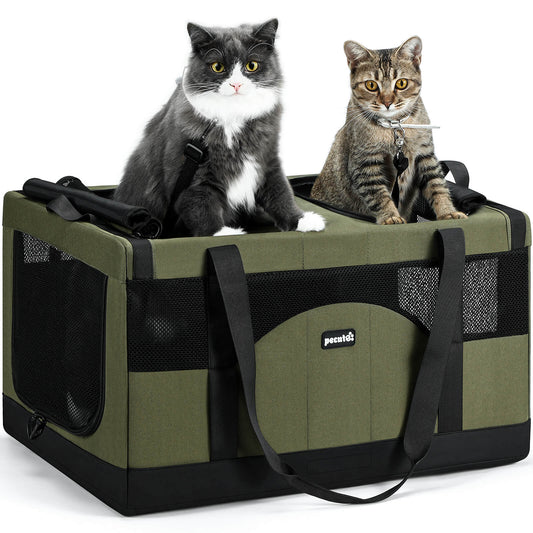 Cat Dual-Compartment Frame Handbag