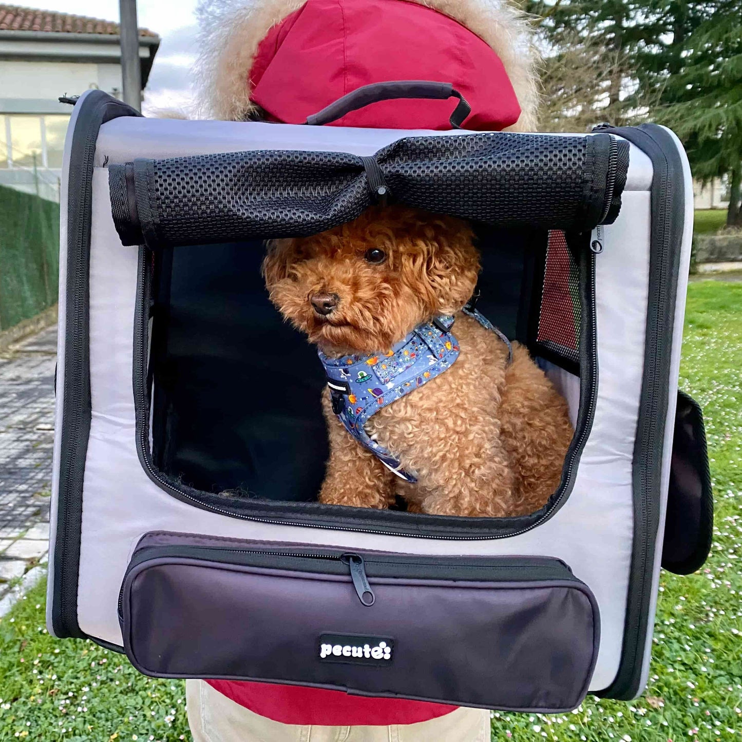 Hardtop Widened Pet Carrier Backpack Dog Backpack