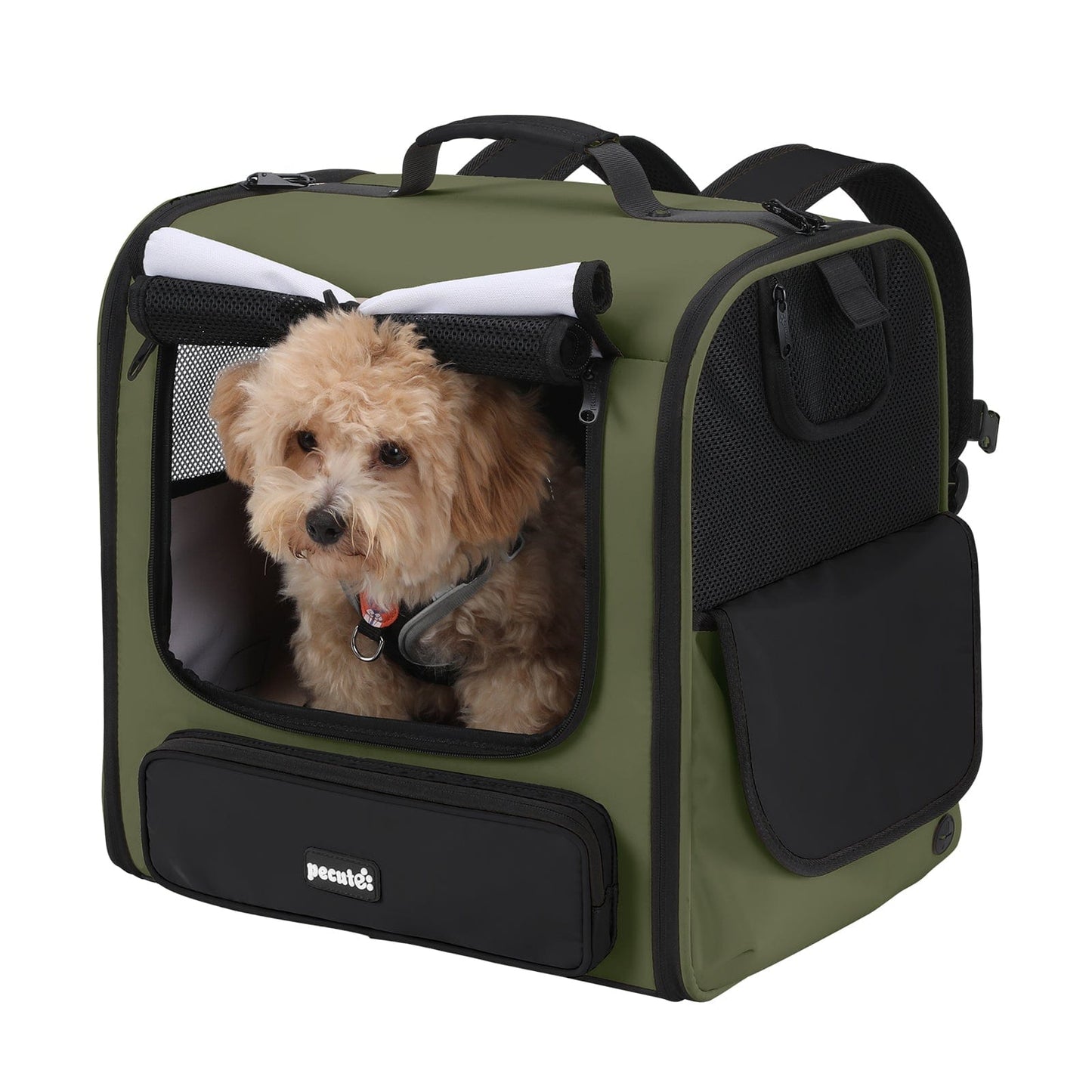 Hardtop Widened Pet Carrier Backpack Dog Backpack