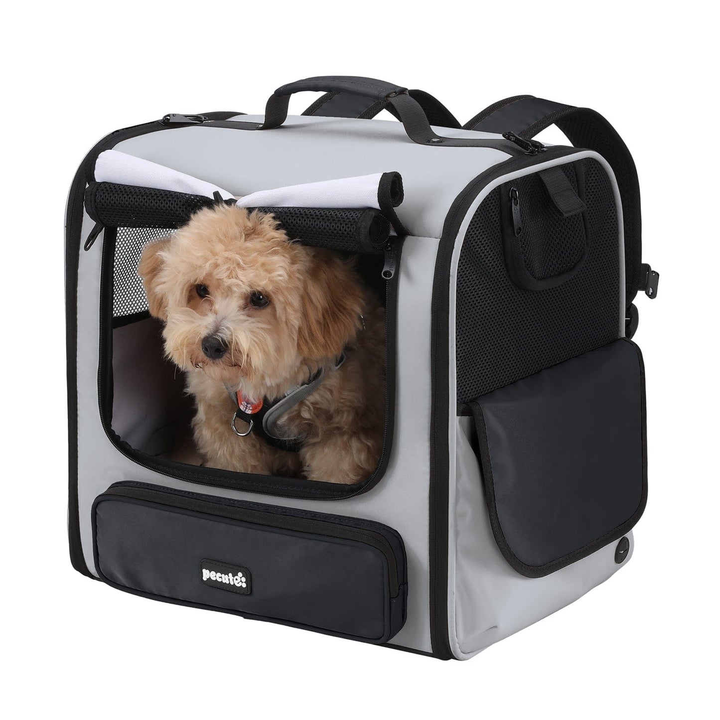 Hardtop Widened Pet Carrier Backpack Dog Backpack