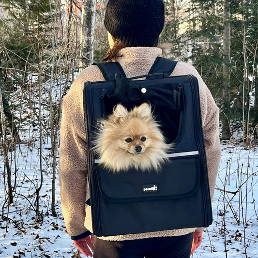 Trapezoidal Cat Carrier Pet Backpack