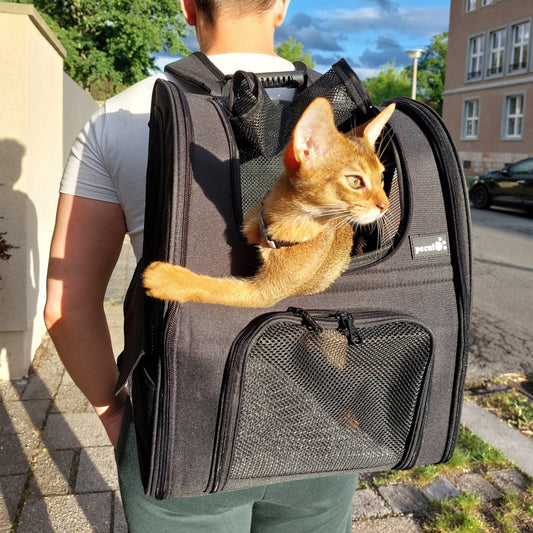 Cat Carrier Dog Backpack Expandable（Black）