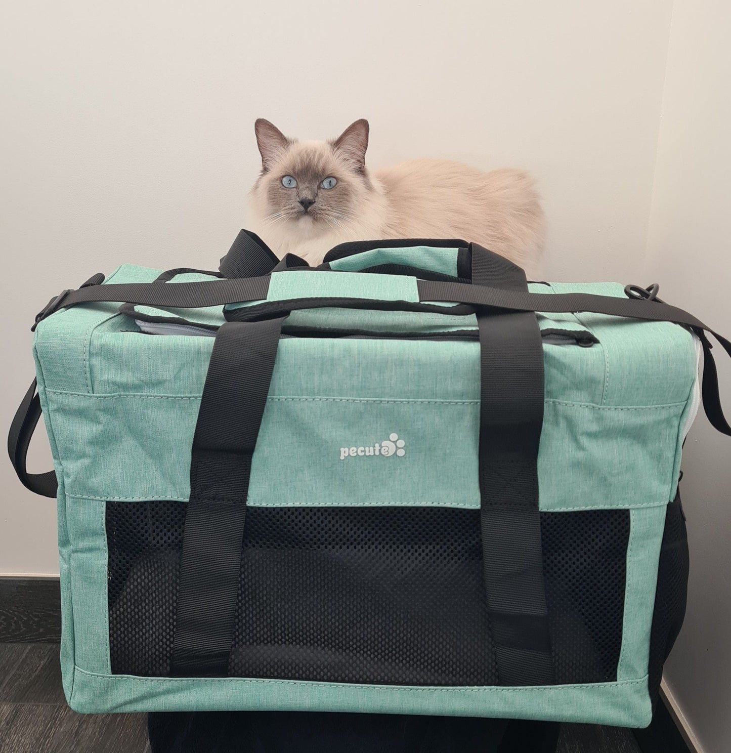 Airline Approved Cat Carrier Handbag Extra Stable Built-in Frame