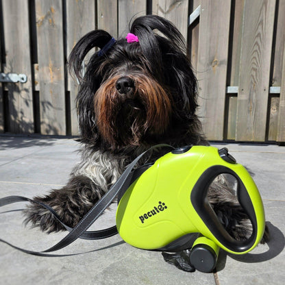 10m/32ft Retractable Dog Leash with Reflective Strips with  Poop Bag