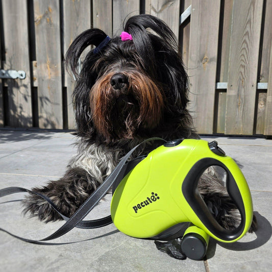10m/32ft Retractable Dog Leash with Reflective Strips with  Poop Bag