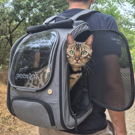 Bubble Cat Backpack Carrier Large Space Ergonomic 3D Design Breathable & Shaded