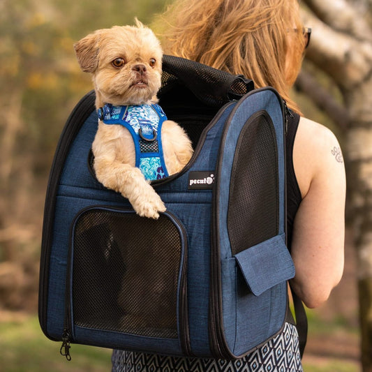 Cat Carrier Dog Backpack Expandable (Blue)