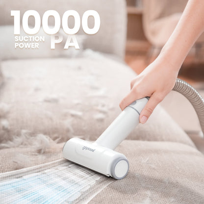 7-in-1 Dog Grooming Vacuum&Dryer for Shedding Grooming