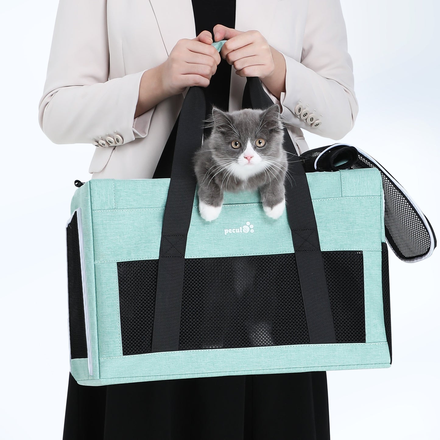 Airline Approved Cat Carrier Handbag Extra Stable Built-in Frame