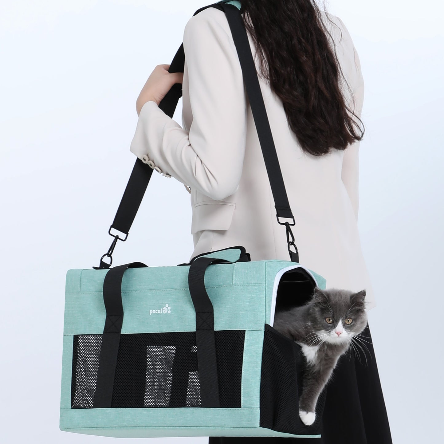 Airline Approved Cat Carrier Handbag Extra Stable Built-in Frame
