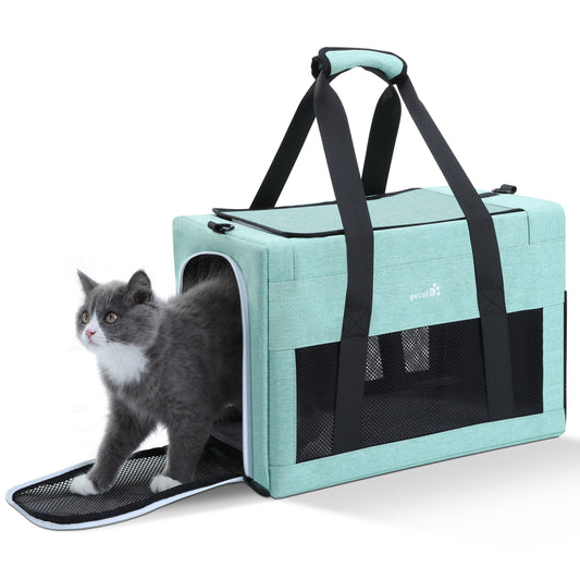 Airline Approved Cat Carrier Handbag Extra Stable Built-in Frame