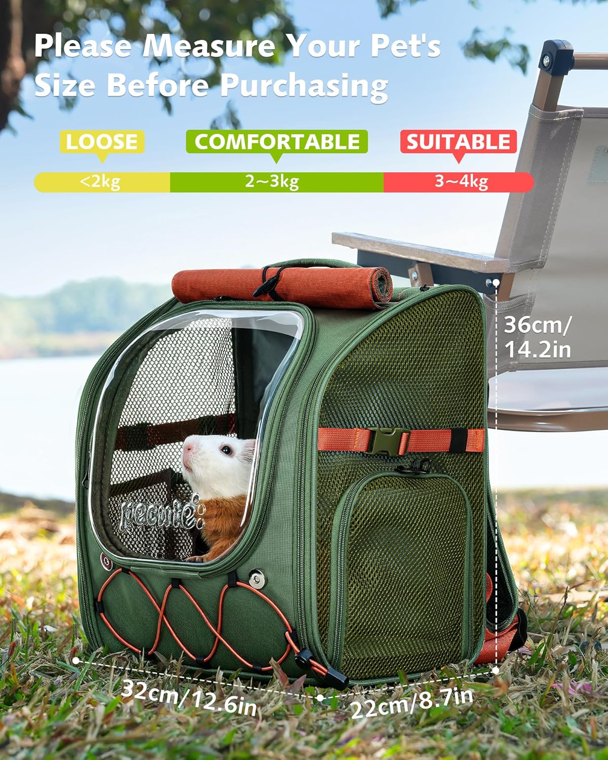 Small Pet Carrier Breathable Guinea Pig Carrier