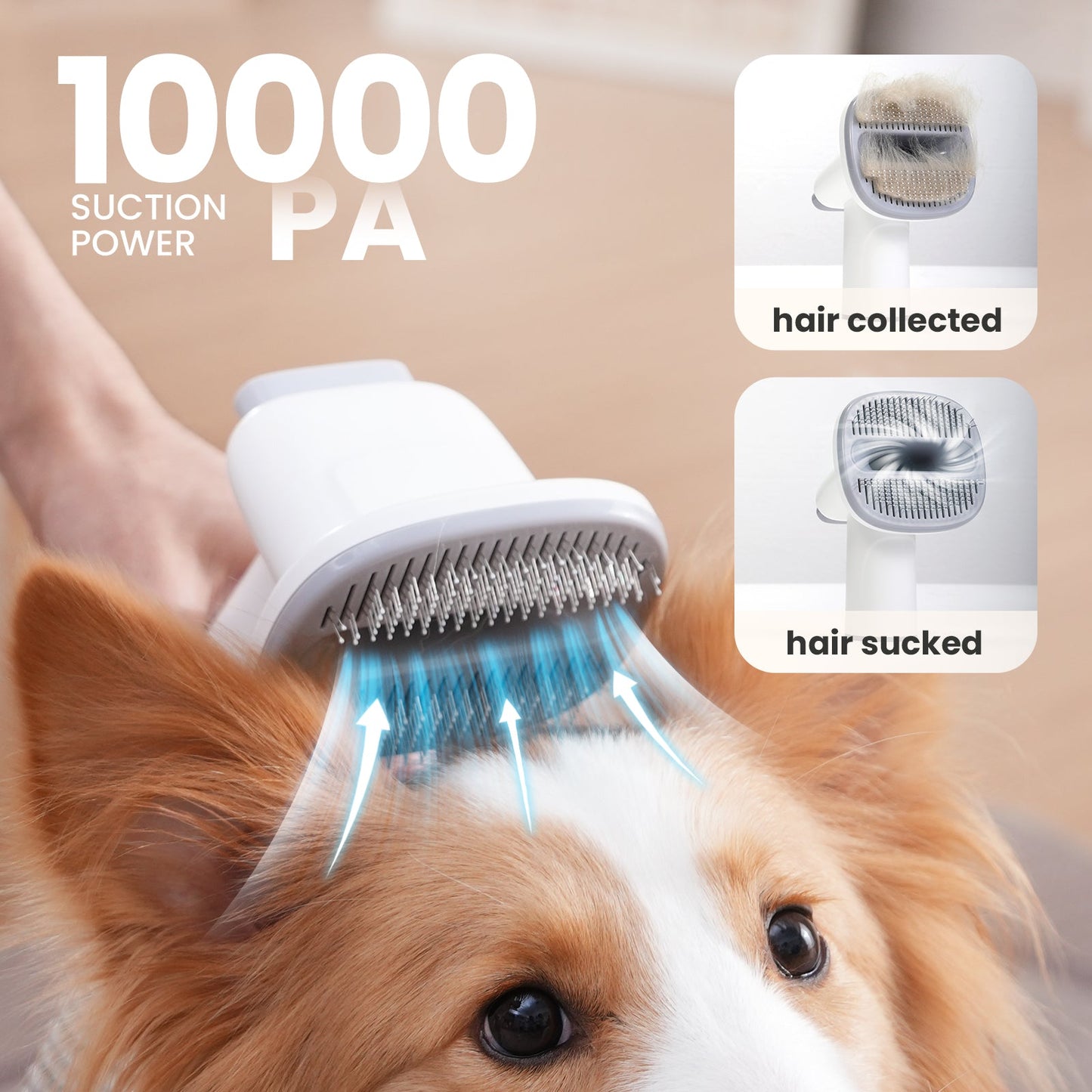 7-in-1 Dog Grooming Vacuum&Dryer for Shedding Grooming