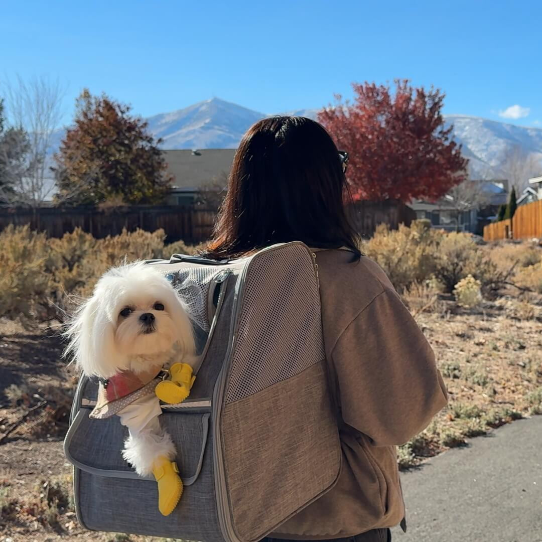Trapezoidal Cat Carrier Pet Backpack