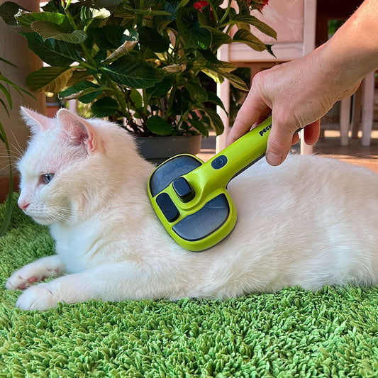 Steam Cat Brush Self-Cleaning Grooming with 2 Water Spray Modes