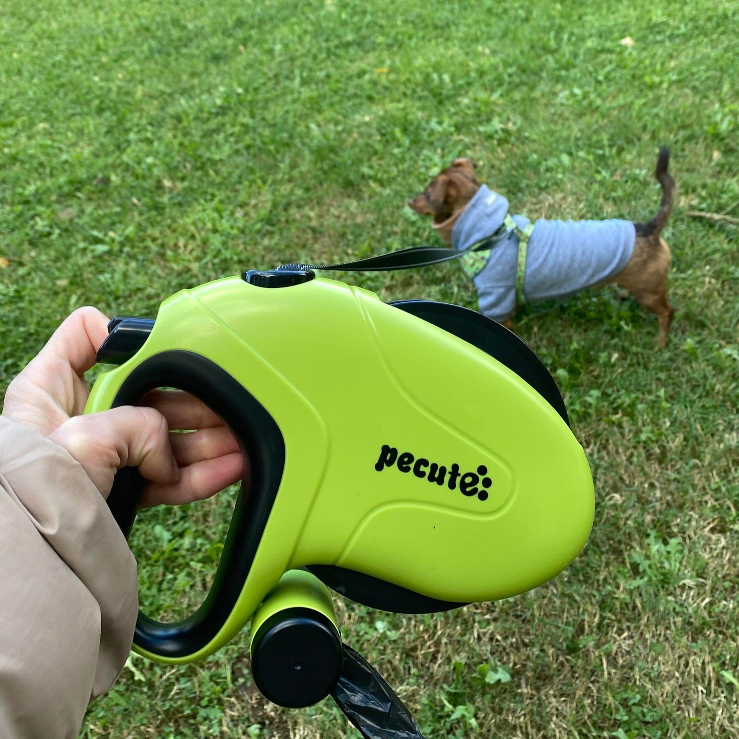 10m/32ft Retractable Dog Leash with Reflective Strips with  Poop Bag