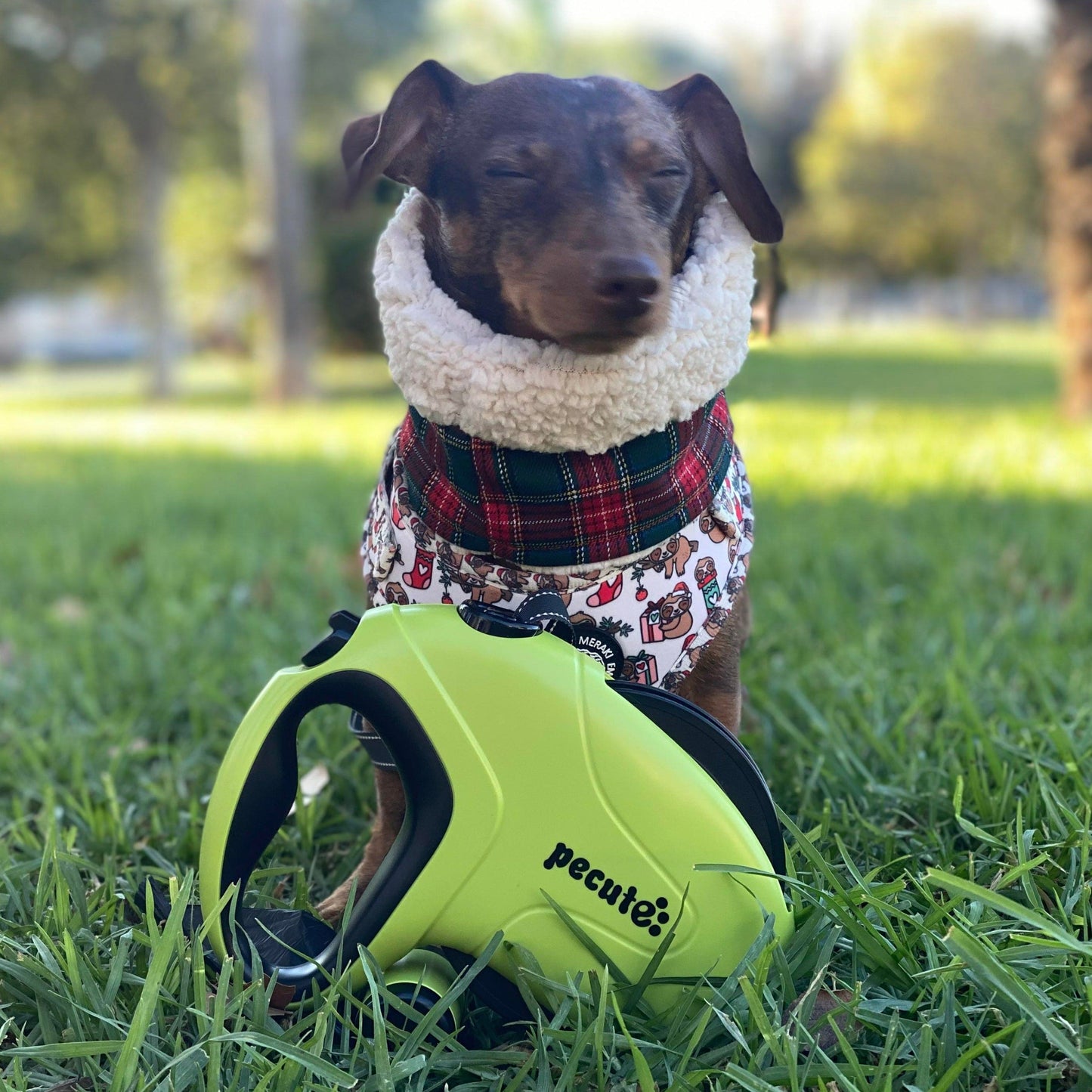 10m/32ft Retractable Dog Leash with Reflective Strips with  Poop Bag
