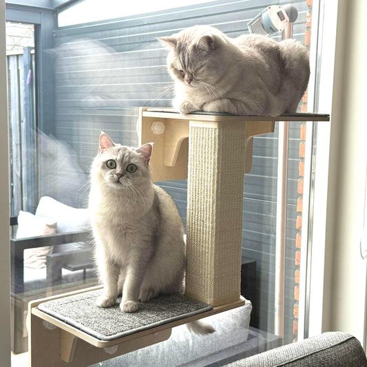 Double Cat Shelves with Cat Scratching Post for Wall Window with Solid Wood Frame