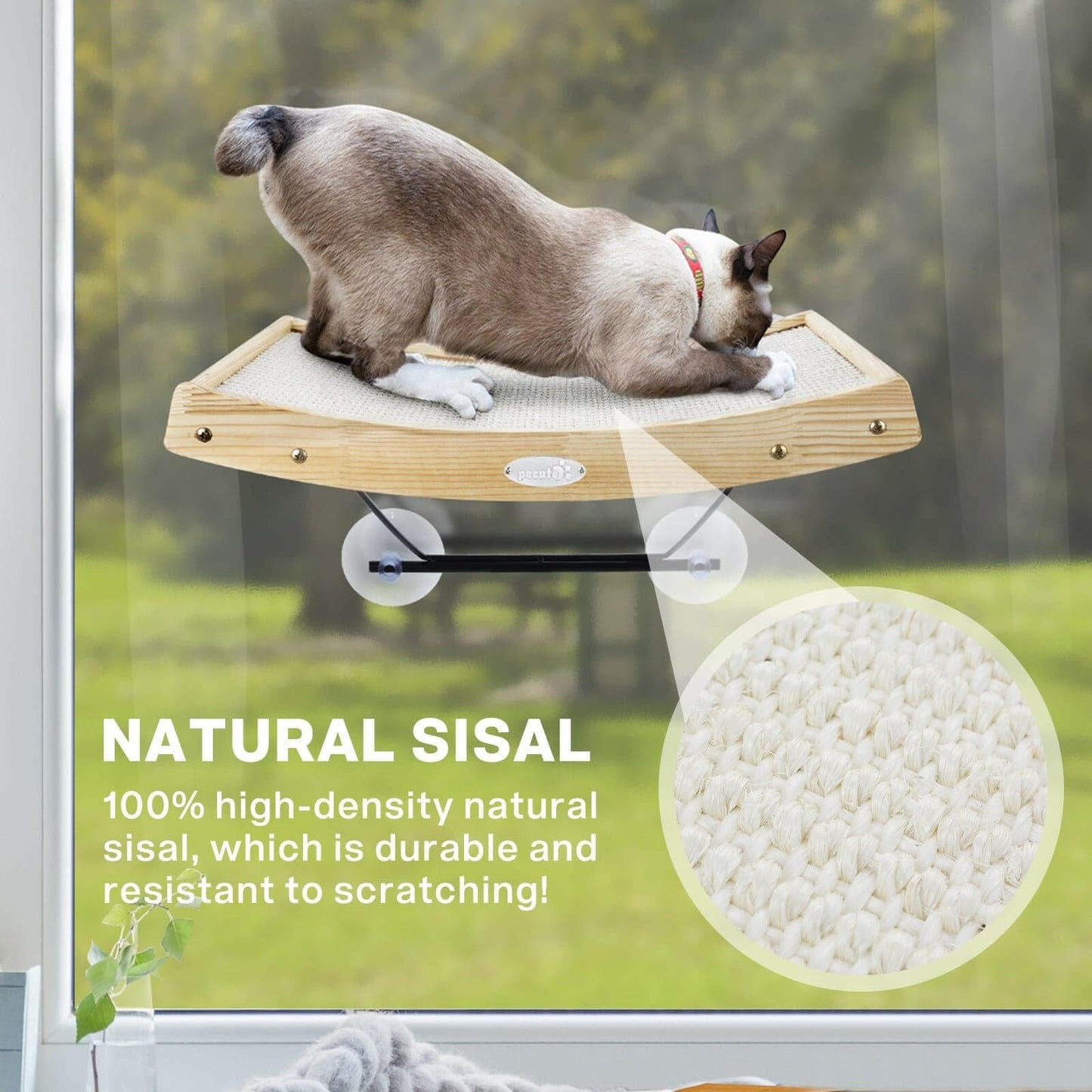 2 in 1 Cat Window Perches