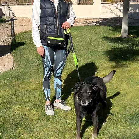 Dog Leash Hands Free Waist Leash with Pouch Removable for 33-120lbs Dogs
