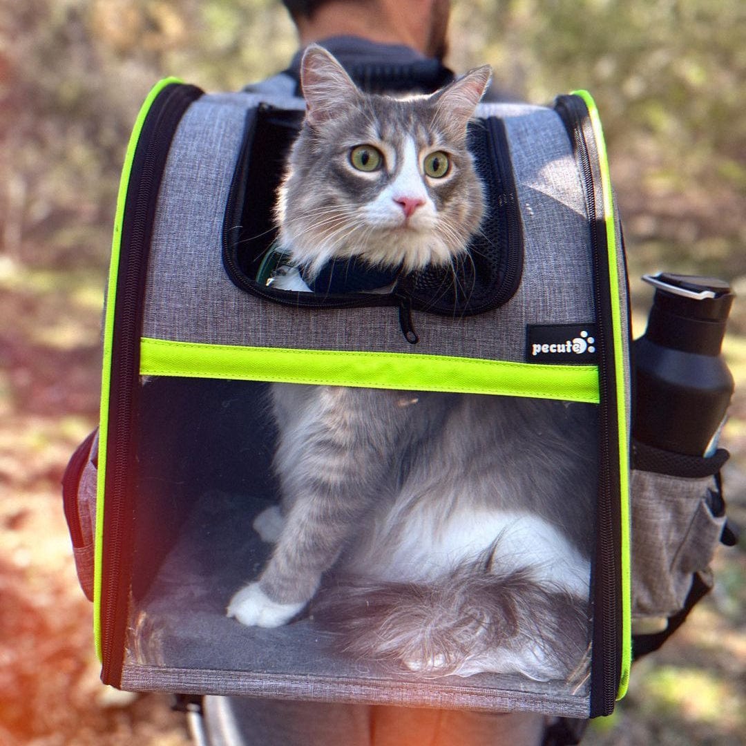 Portable Breathable Rucksack Expandable Cat Carrier Dog Backpack（Grey）