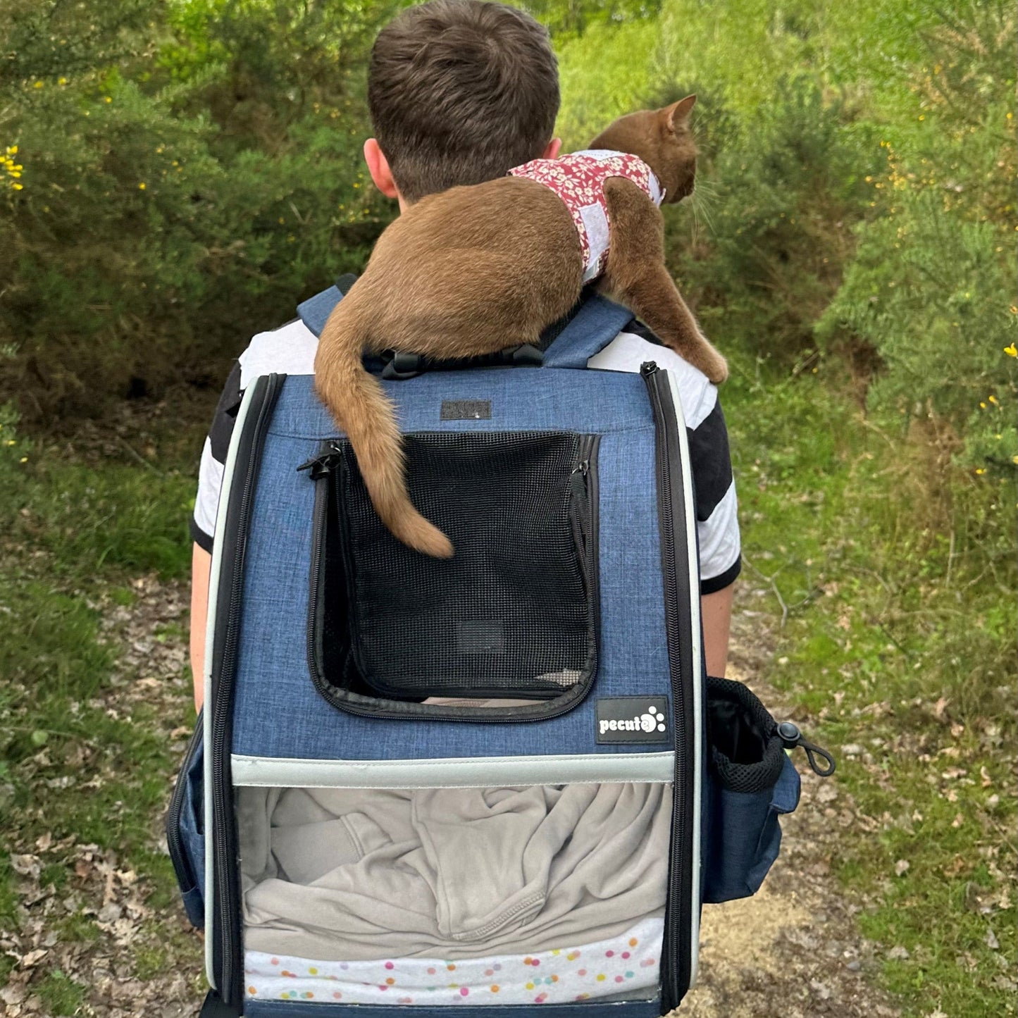 Portable Breathable Rucksack Pet Carrier Backpack