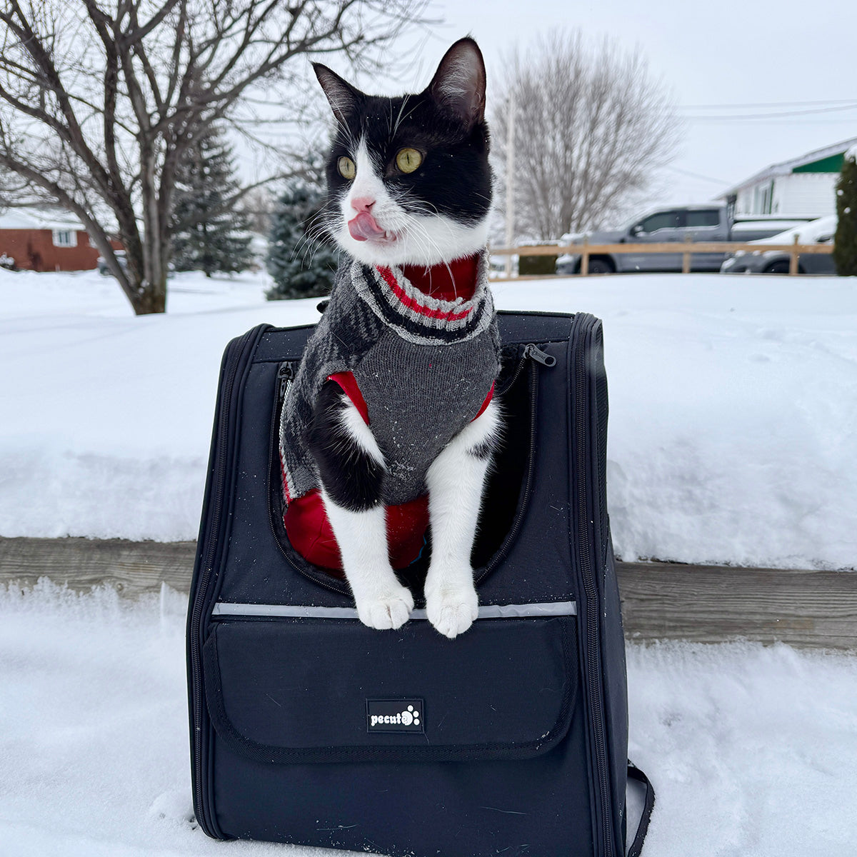Trapezoidal Cat Carrier Pet Backpack