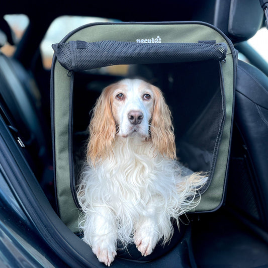 Portable Dog Car Carrier Crate Transportation Carrier Light Weight