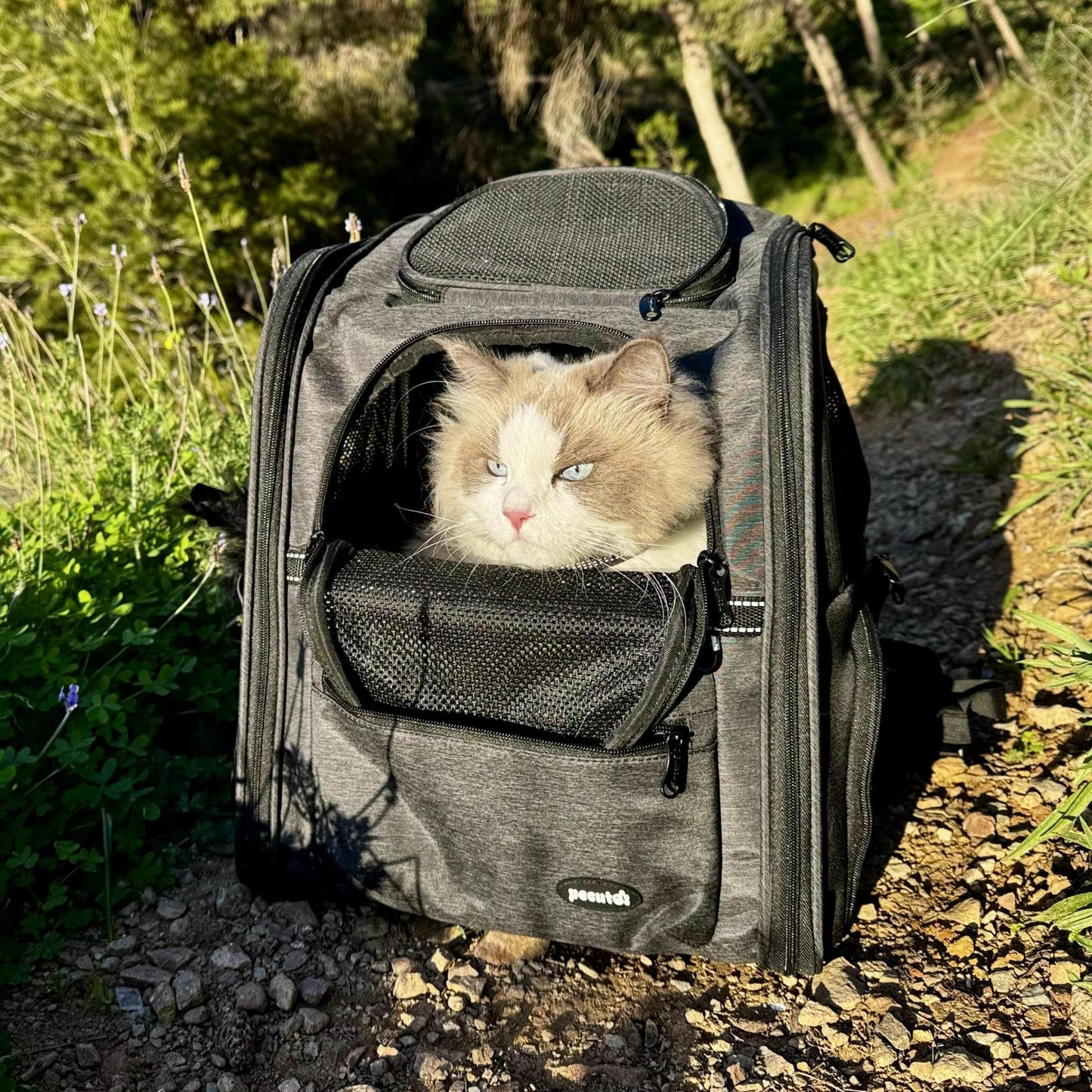 Suspended Anti-Gravity Weight-Reducing Pet Carrier Backpack