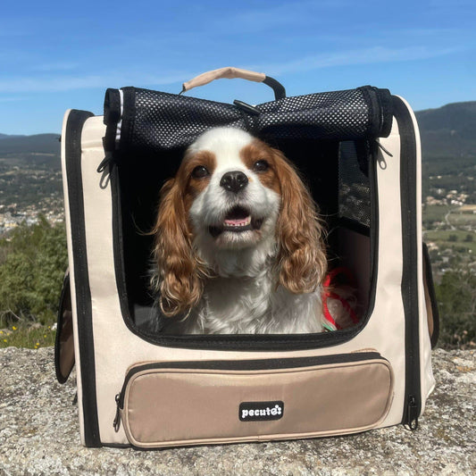 Hardtop Widened Pet Carrier Backpack Dog Backpack
