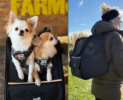 Trapezoidal Cat Carrier Pet Backpack