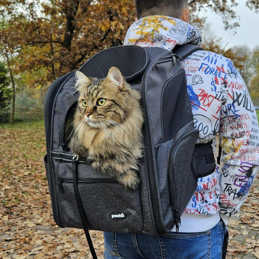 Suspended Anti-Gravity Weight-Reducing Pet Carrier Backpack