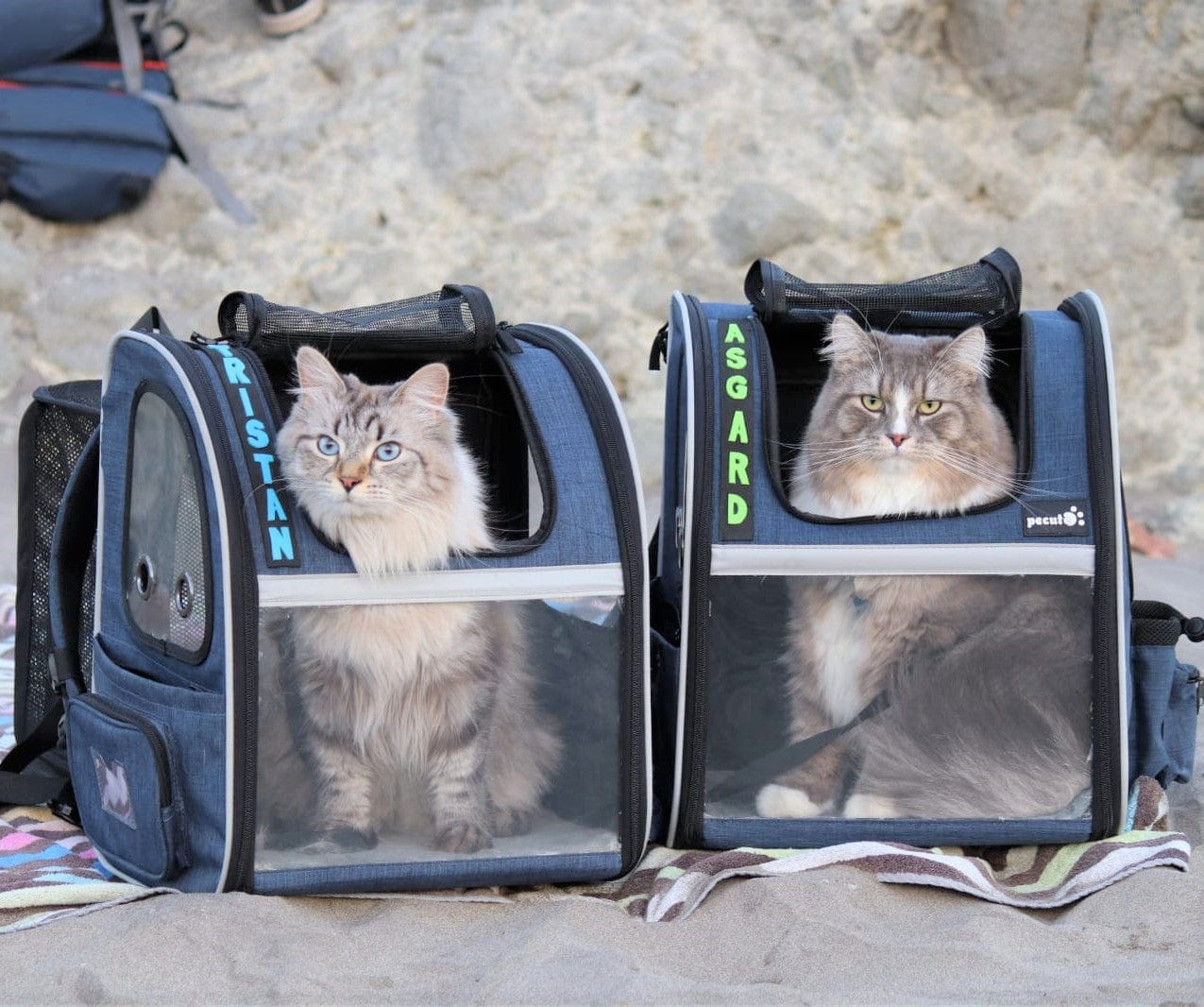 Portable Breathable Rucksack Pet Carrier Backpack