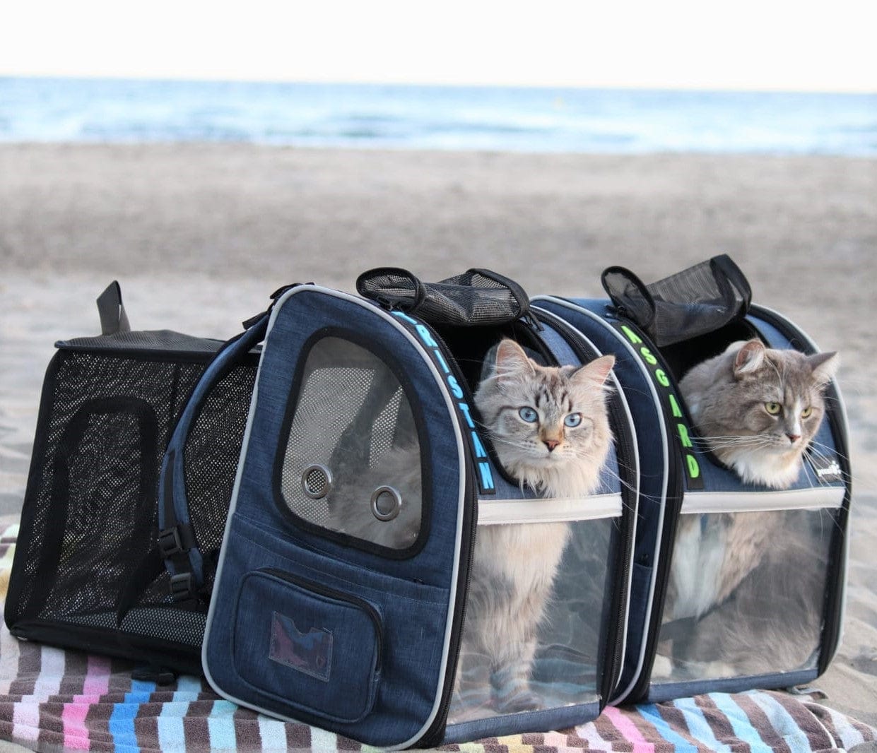 Portable Breathable Rucksack Pet Carrier Backpack